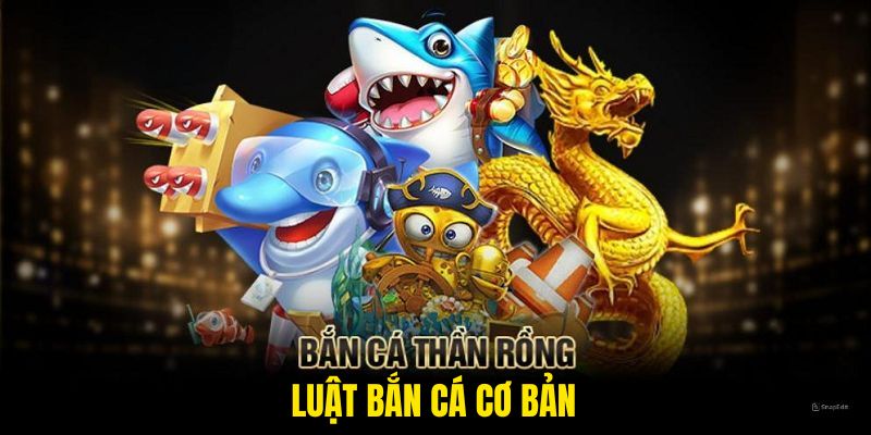 Luật bắn cá cơ bản